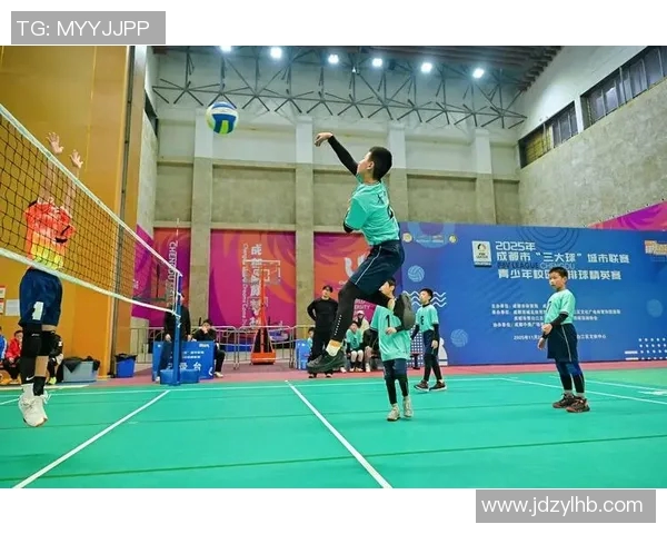 成都排球队的速度之美与技术探秘，展现排球运动的魅力与激情